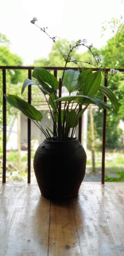 Tuyet's Homestay Ninh Binh Luaran gambar